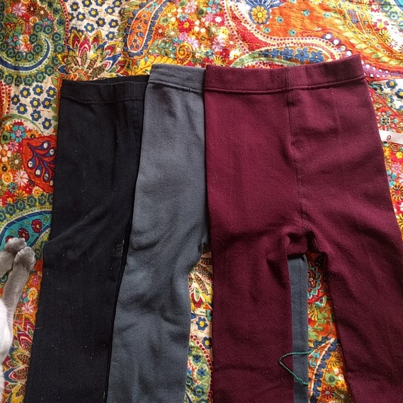 Nicole Miller Accessories - Fleece lined tights 3 pairs